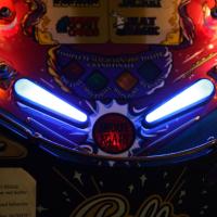 led flipper